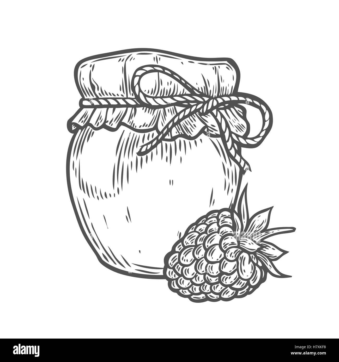 Raspberry jam jar Ink hand drawn vector illustration. Harvest autumn illustration. Engraved organic food sketch illustration. Bl Stock Vector