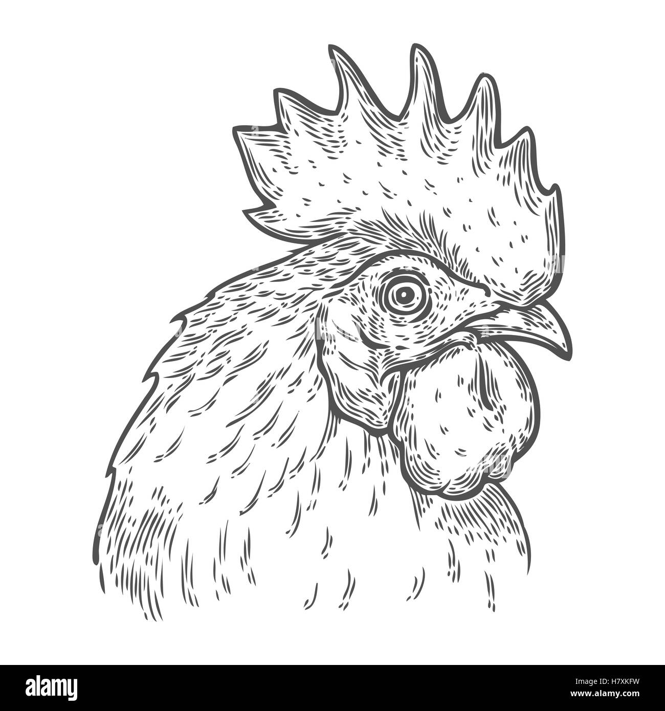 Chicken Head Outline Vector Images over 850