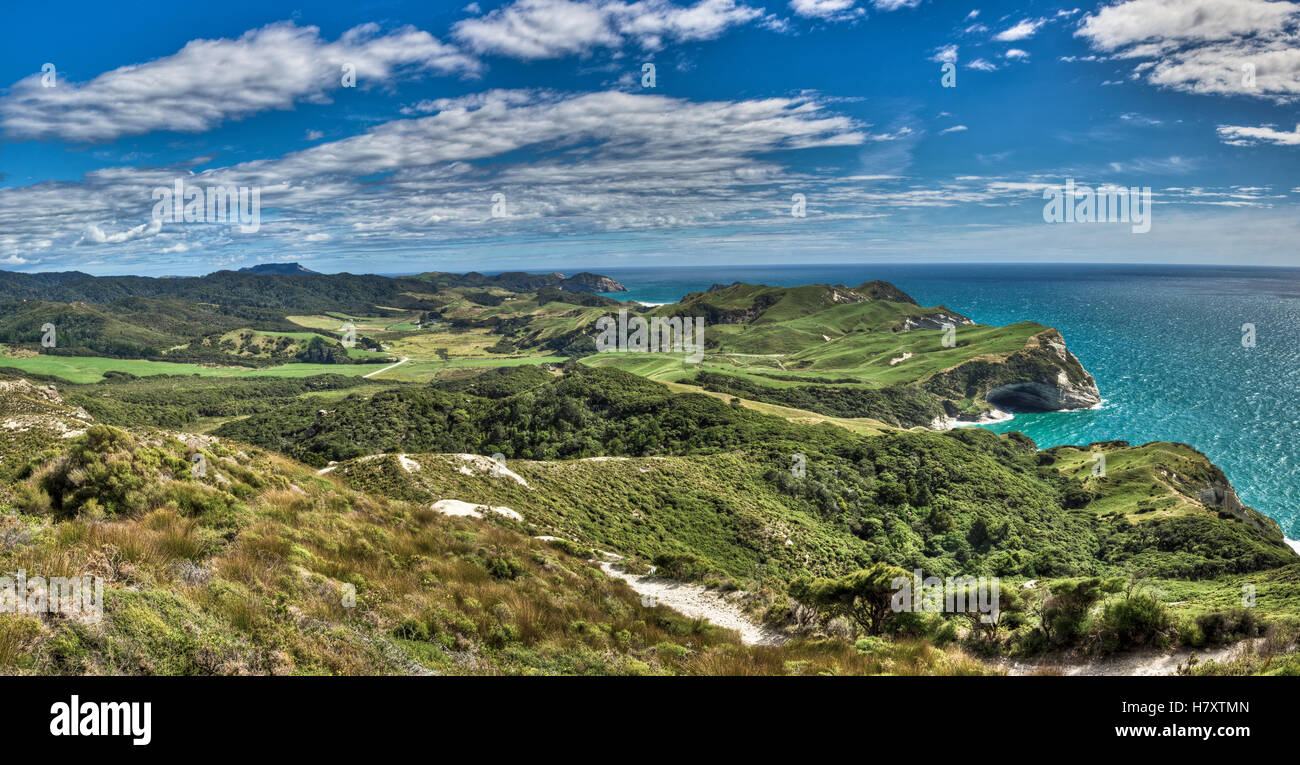 Coastal cliffs, Cape Farewell and Wharariki Beach, Golden Bay, New Zealand Stock Photo Alamy