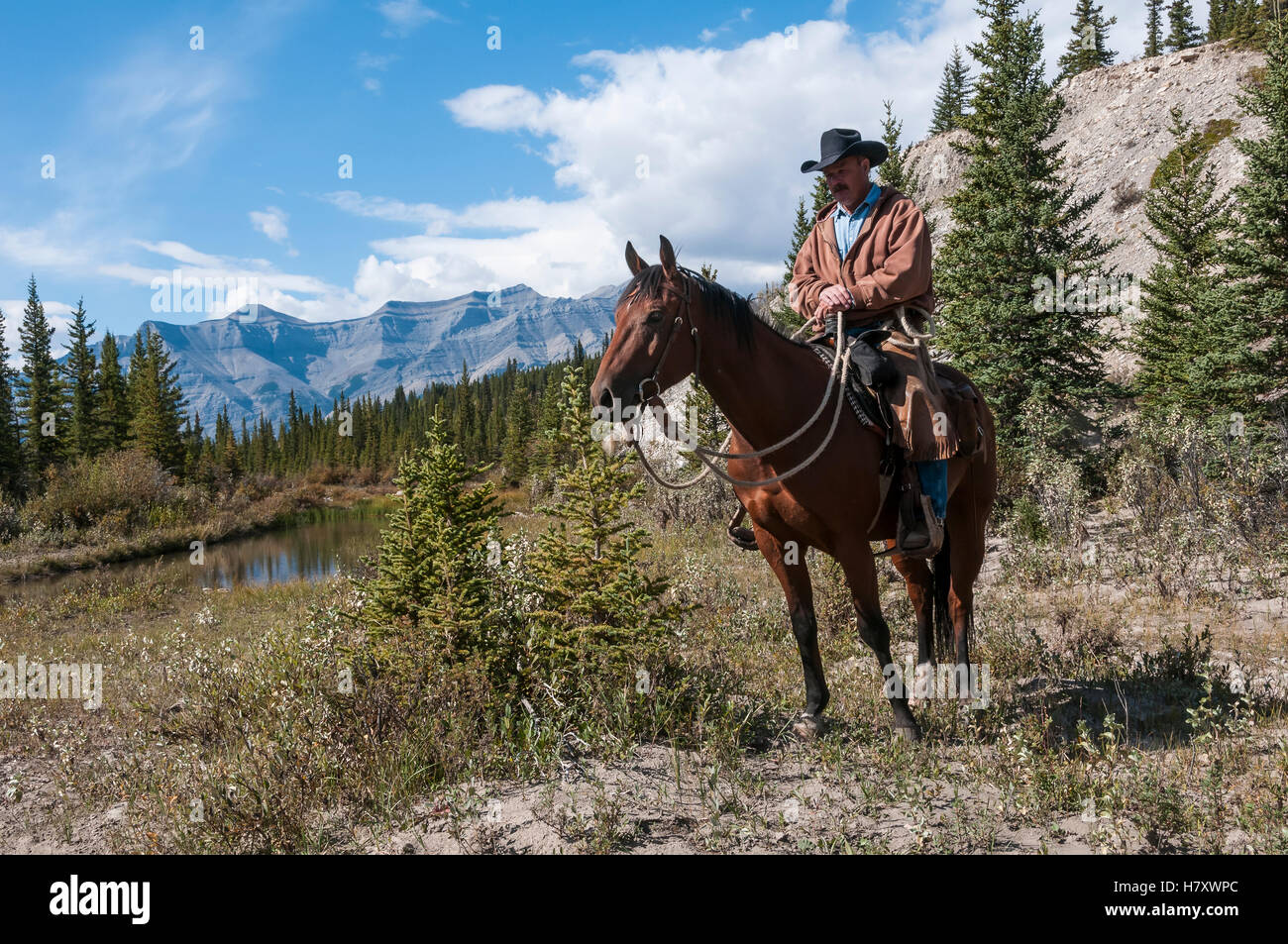 Cowboy and horse, YaHaTinda Ranch; Clearwater County, Alberta, Canada Stock Photo Alamy