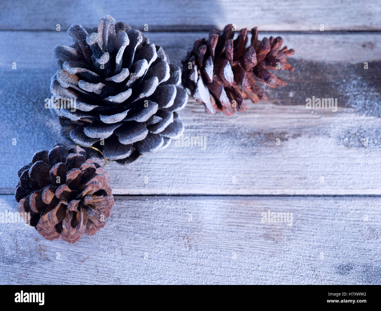 close up view  of  snowbound cones wooden back Stock Photo