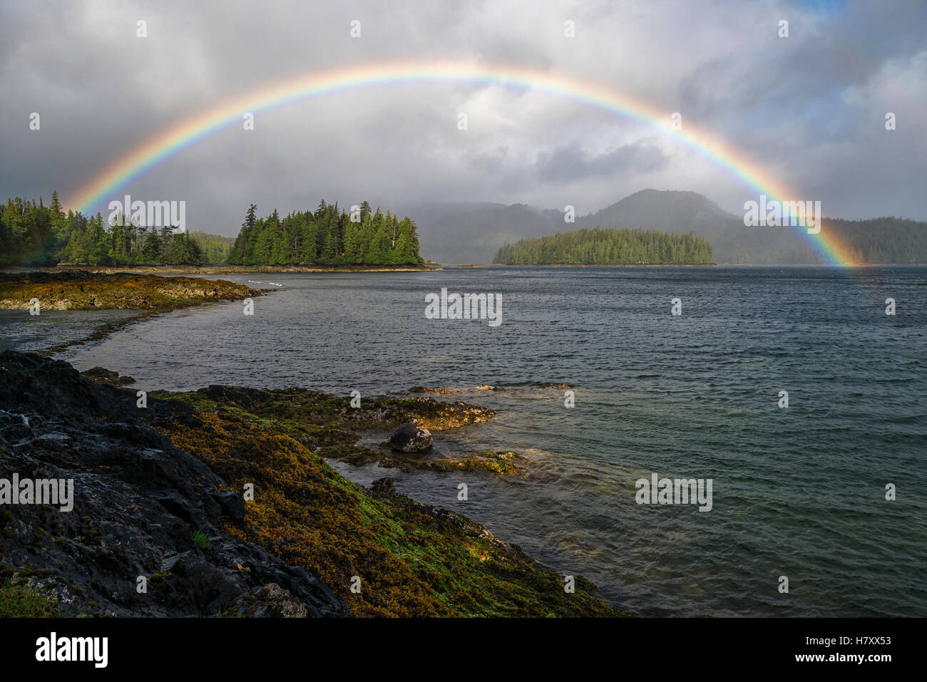 Rainbow forms over the ocean during a wind and rain storm; Haida Gwaii ...
