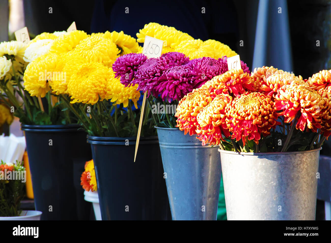 Street market stand selling beautiful colorful flowers Stock Photo Alamy