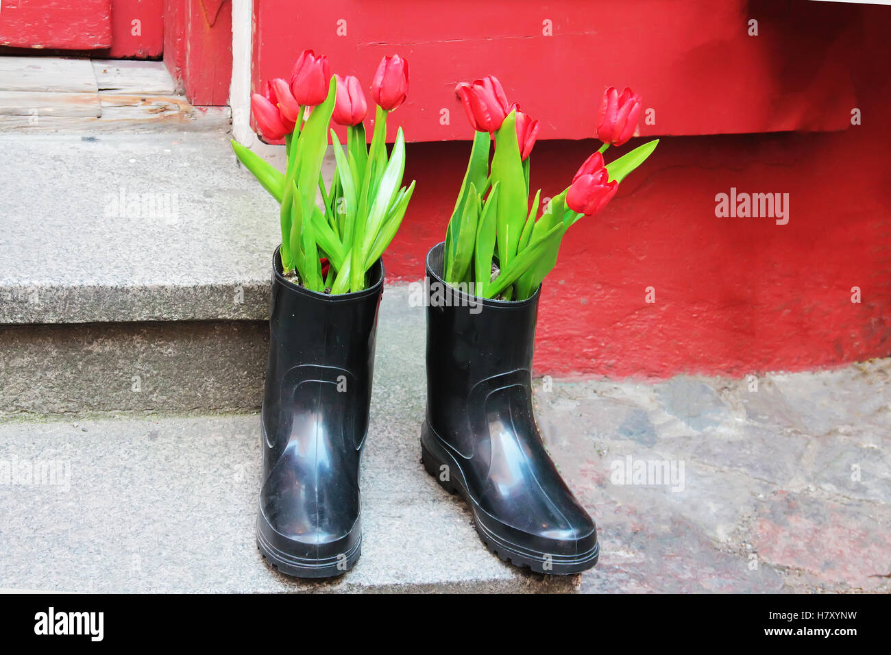 Flowers in wellington boots hi-res stock photography and images - Alamy