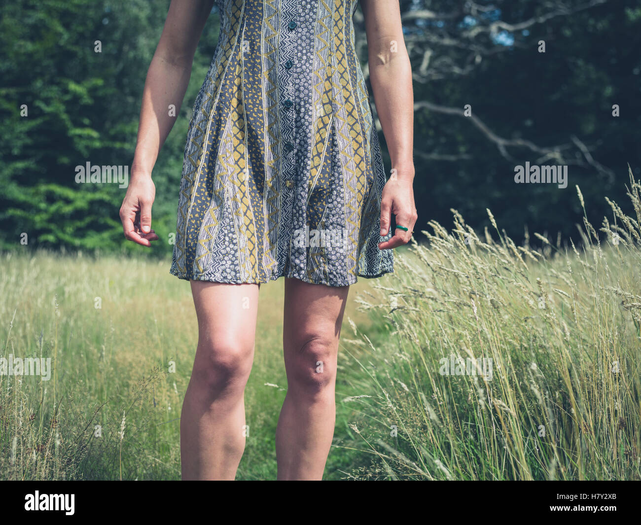 A Young Woman Wearing A Dress Is Standing In A Meadow By A Forest Stock a-young-woman-wearing-a-dress-is-standing-in-a-meadow-by-a-forest-stock