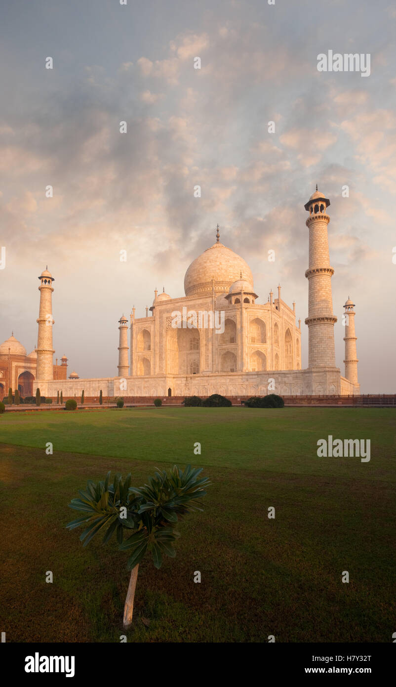 Fiery sky behind iconic orange glowing marble of Taj Mahal and front lawn foreground with nobody present in Agra, India. Vertica Stock Photo