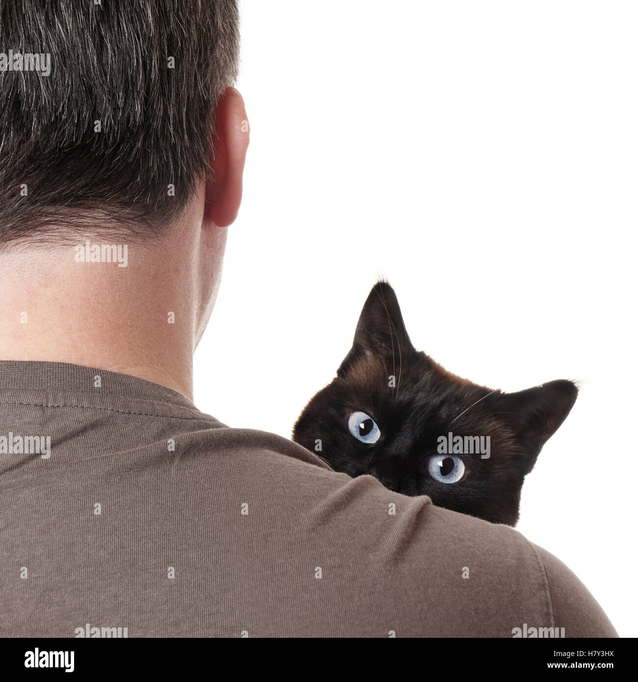 cat peeking over shoulder Stock Photo