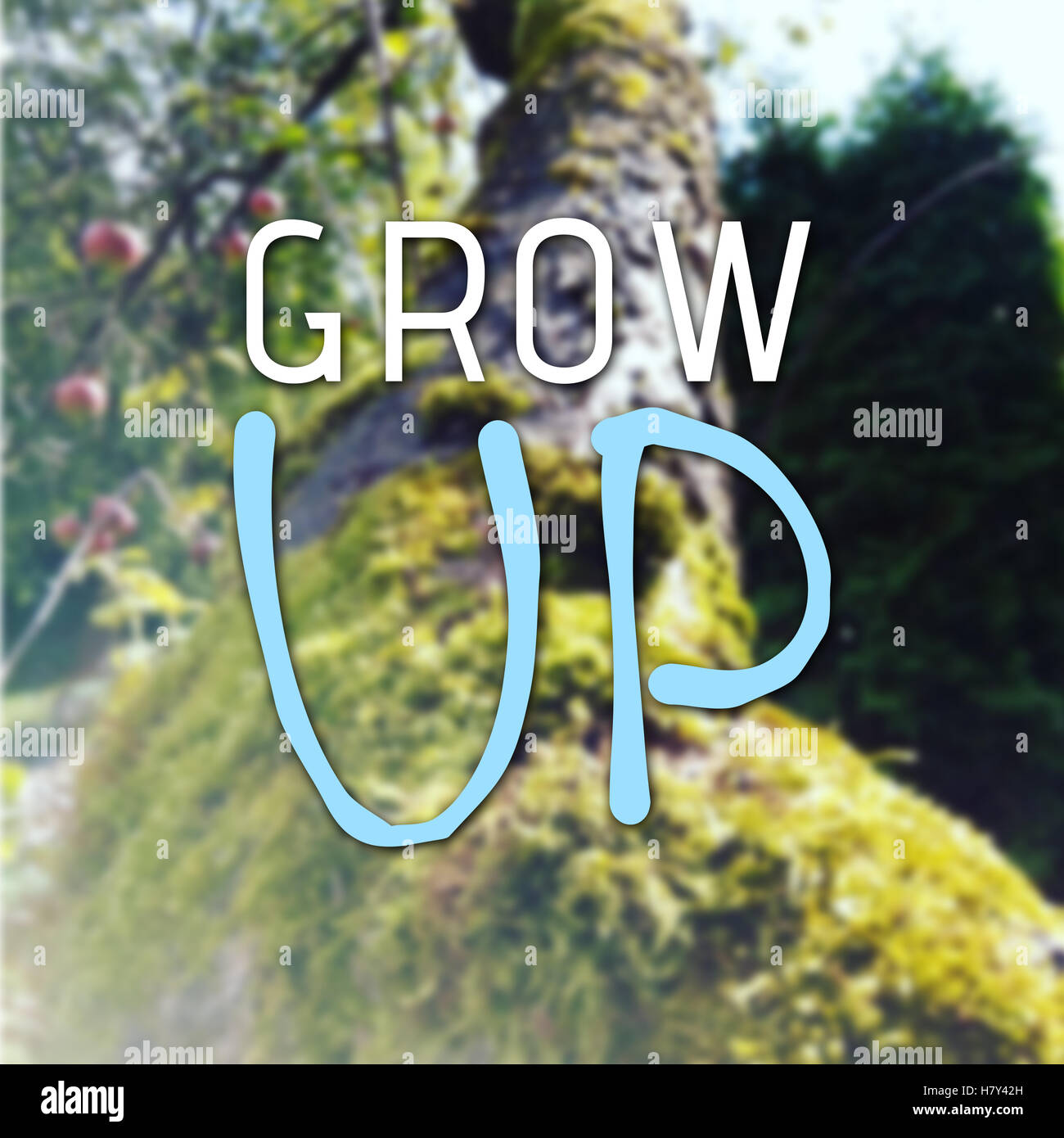 Grow up text as motivation quote on wallpaper with filter effect Stock