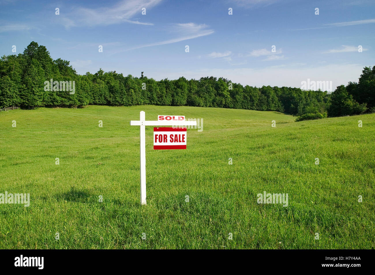 Swamp land for sale Stock Photo Alamy