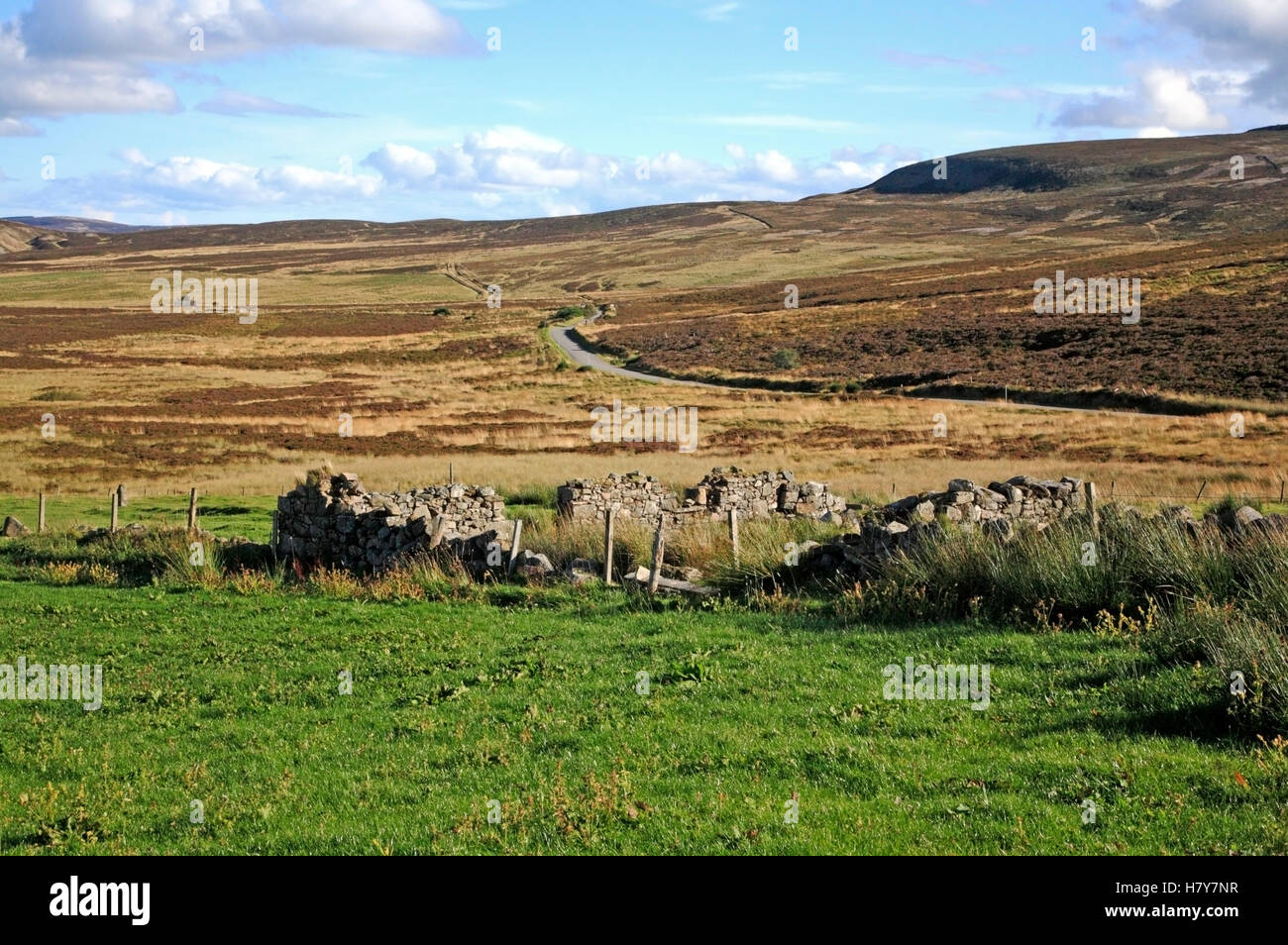 The remains of a croft in the foreground on open land near the Cabrach ...