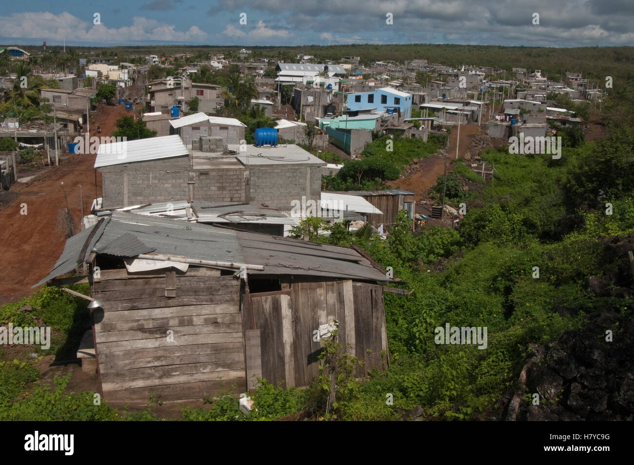 City in Puerto Ayora with houses and shacks, Santa Cruz Island