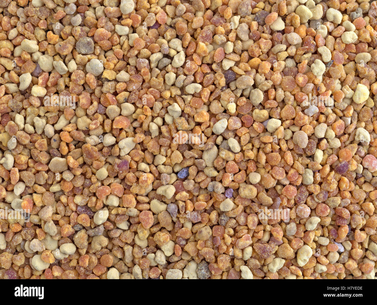A very close view of organic bee pollen granules. Stock Photo
