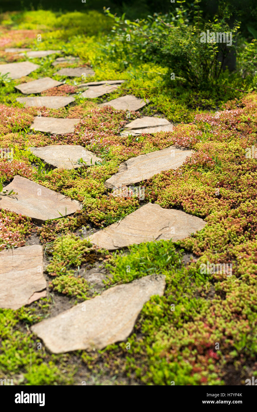 Stone walkway on green grass in the garden Stock Photo - Alamy