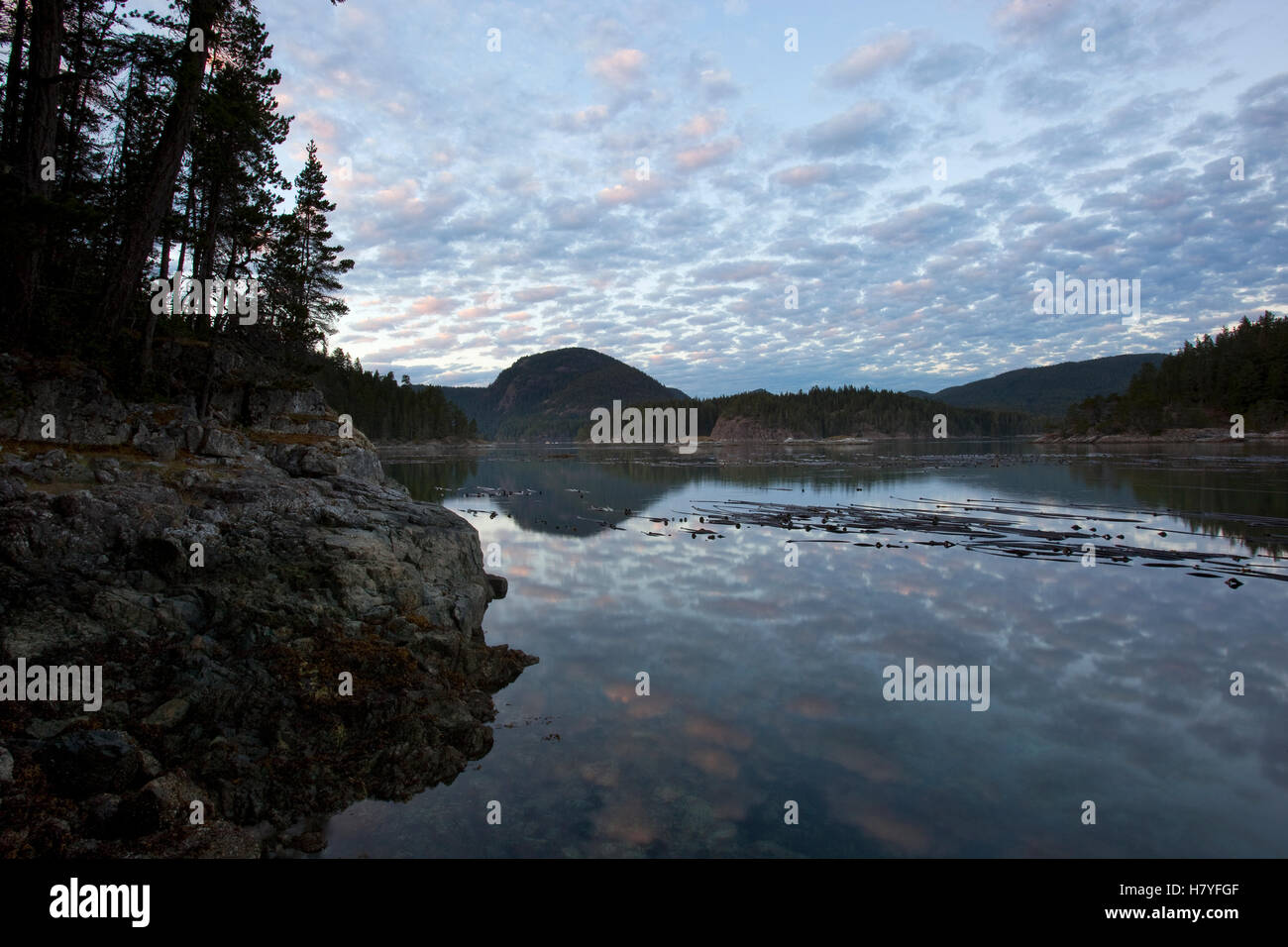 Maurelle Surge Narrows between Maurelle Island and Quadra Island, British ...