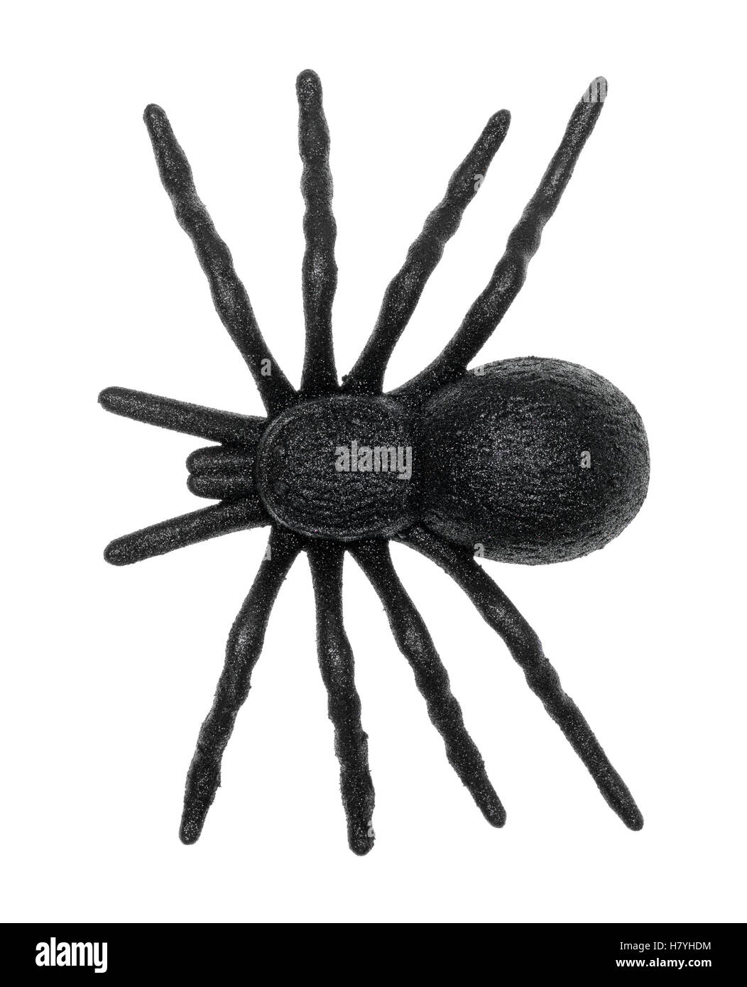 Top view of a plastic toy spider isolated on a white background. Stock Photo