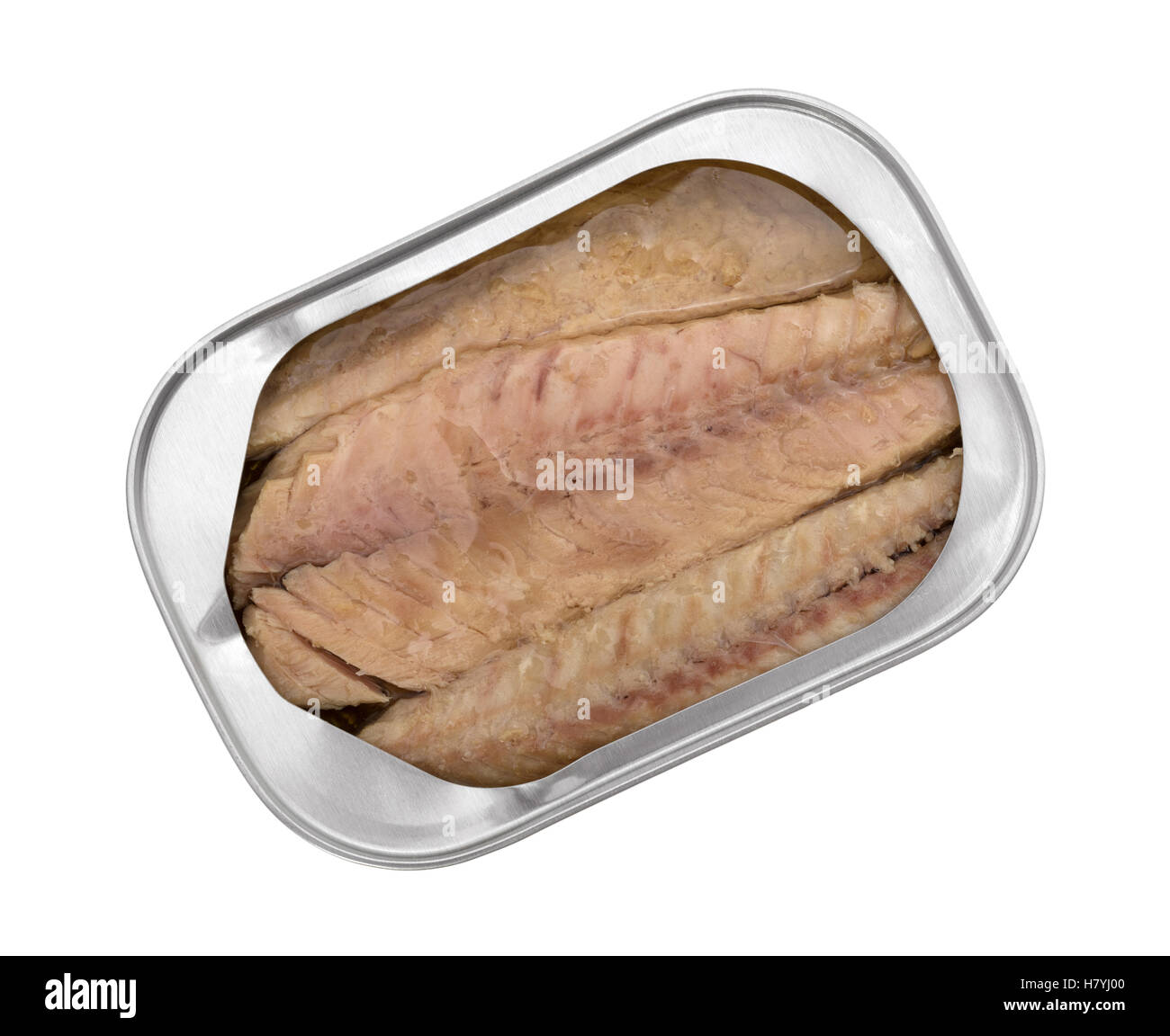 Top view of skinless mackerel fillets in olive oil in an opened tin isolated on a white