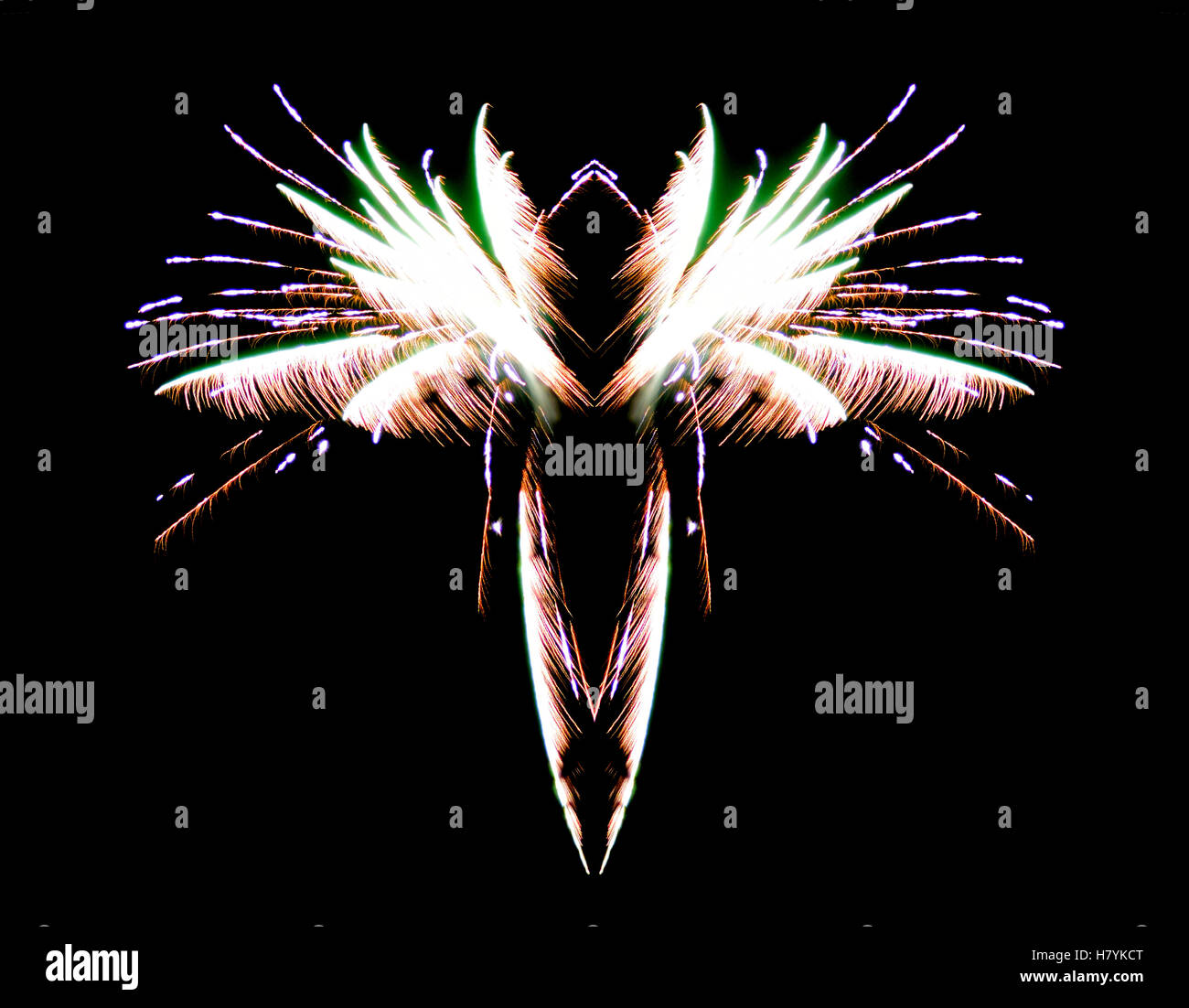 Firework insect - made by reflecting an image of exploding fireworks Stock Photo