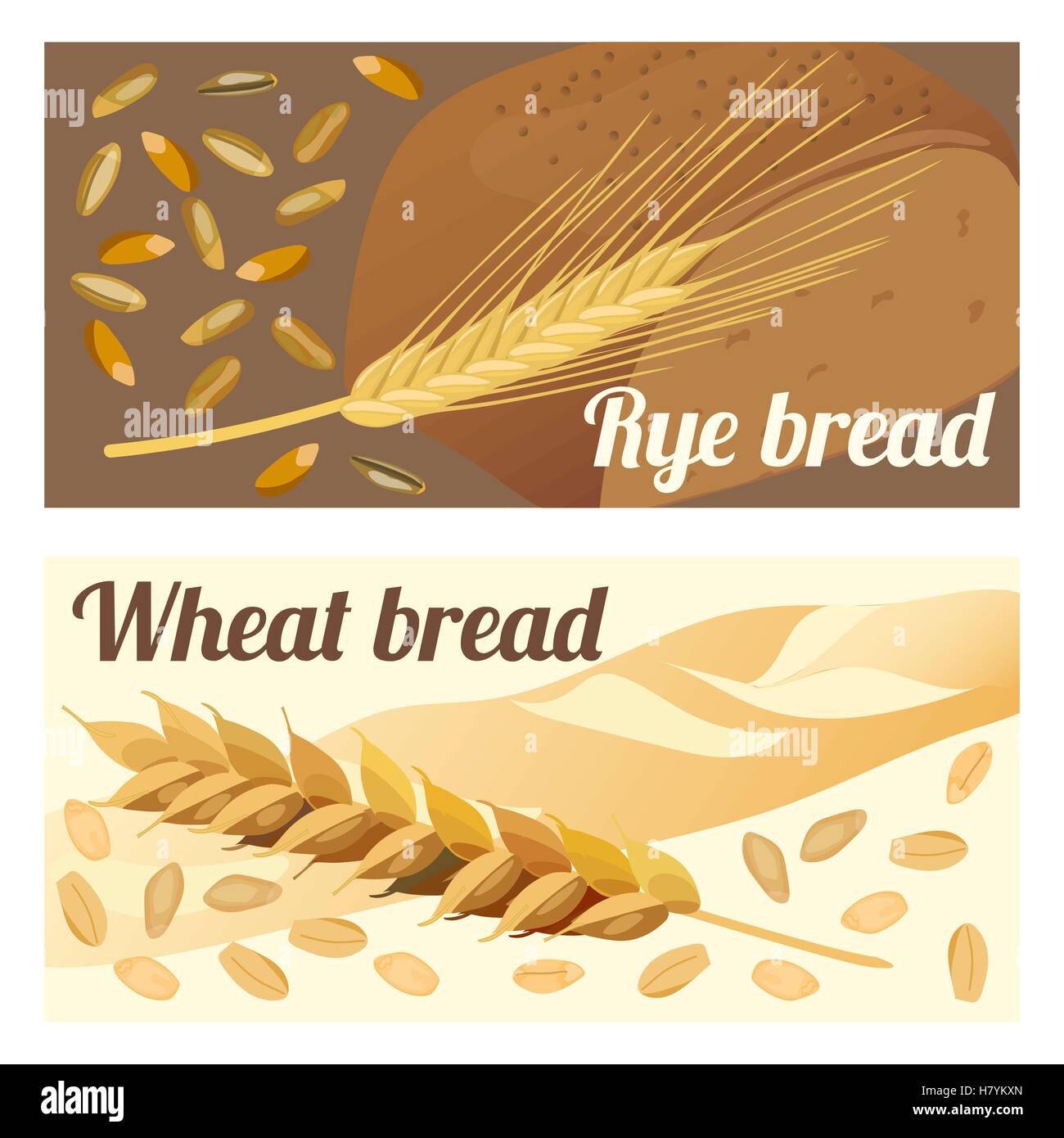Set of labels rye and wheat bread. Ears and grains. Vector illustration. Stock Vector
