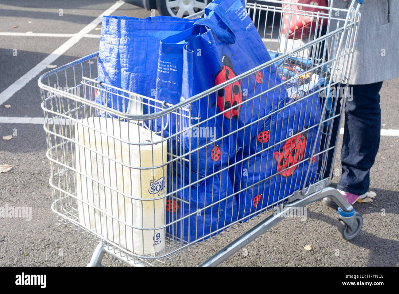 tesco trolley bags