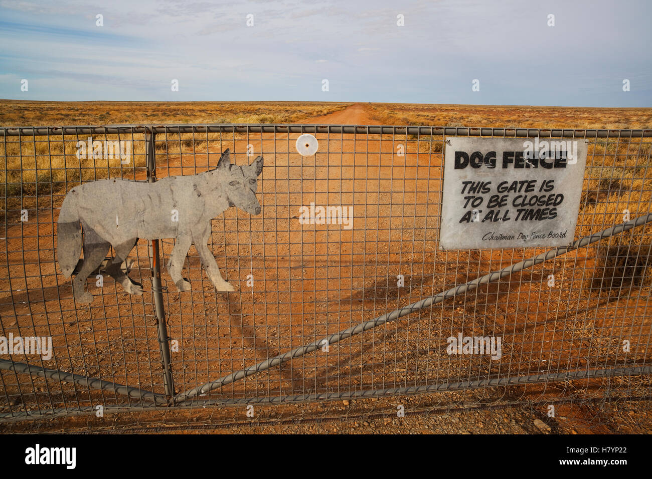 Gate at dingo fence, South Australia, Australia Stock Photo Alamy