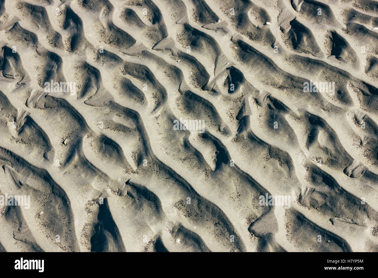 Closeup of wet beach sand creating a natural pattern. Stock Photo