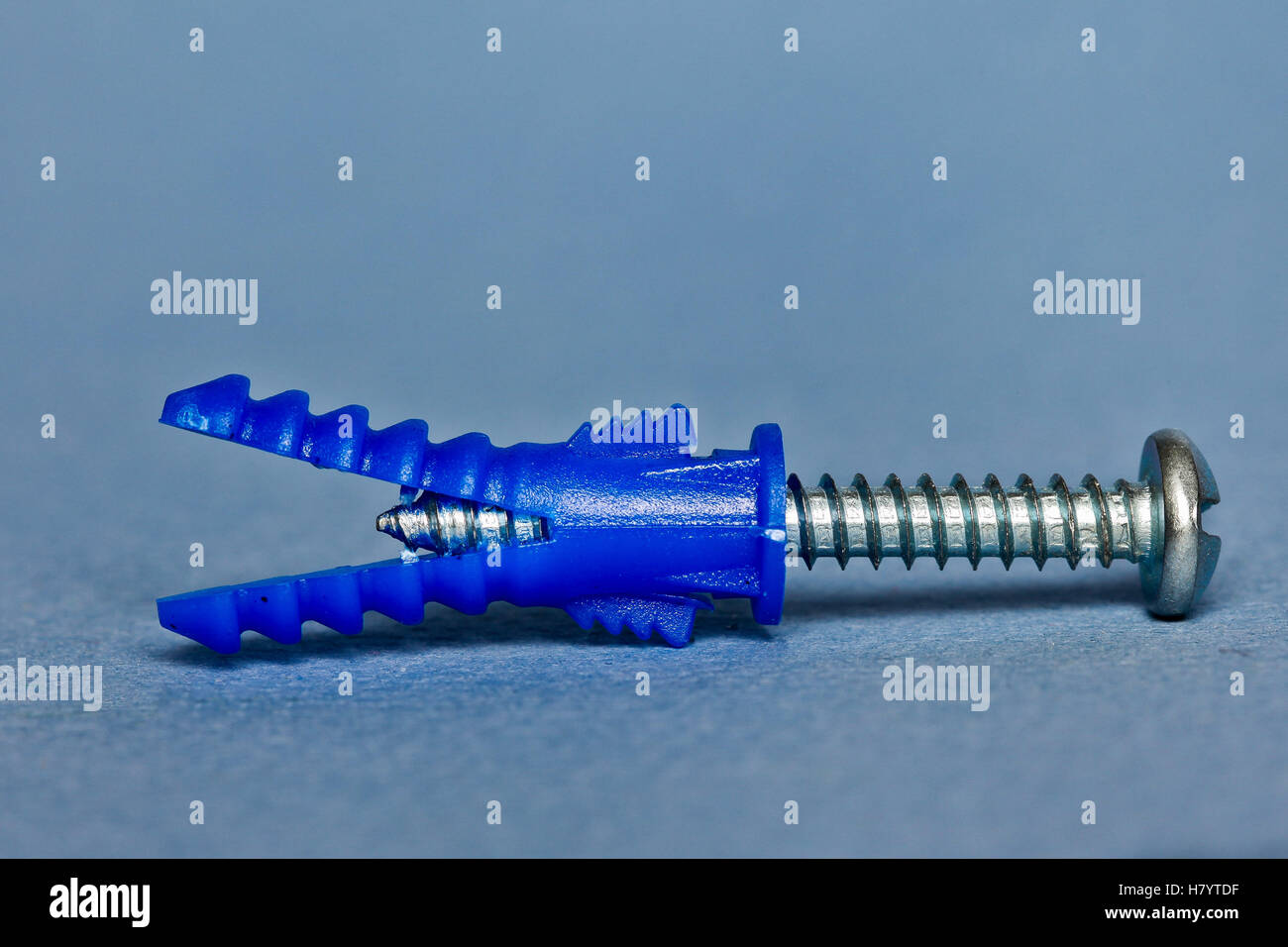 Ribbed plastic anchor for drywall or plaster project Stock Photo Alamy