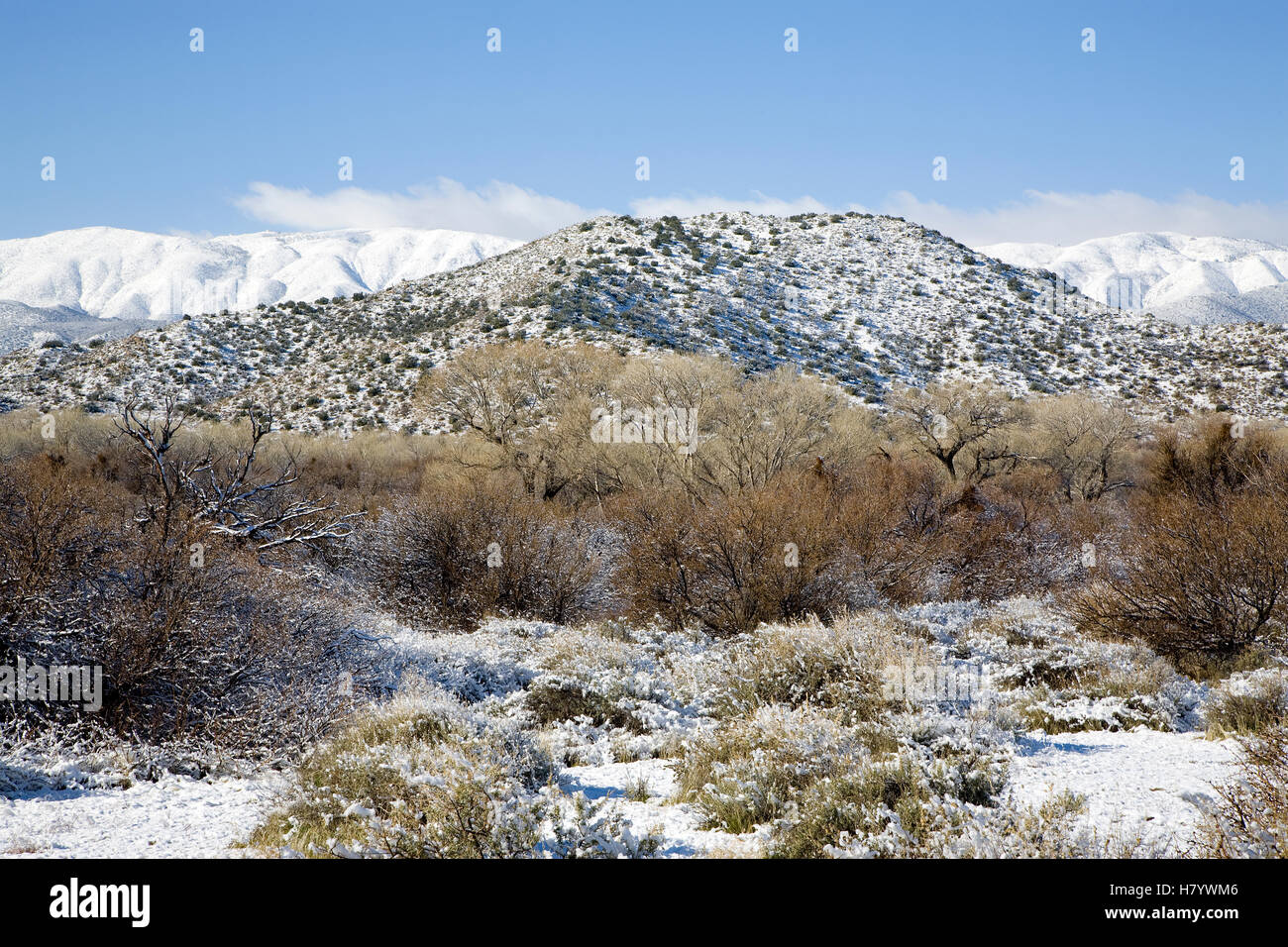 Scissor's Crossing, looking west to the Laguna Mountains with a dusting