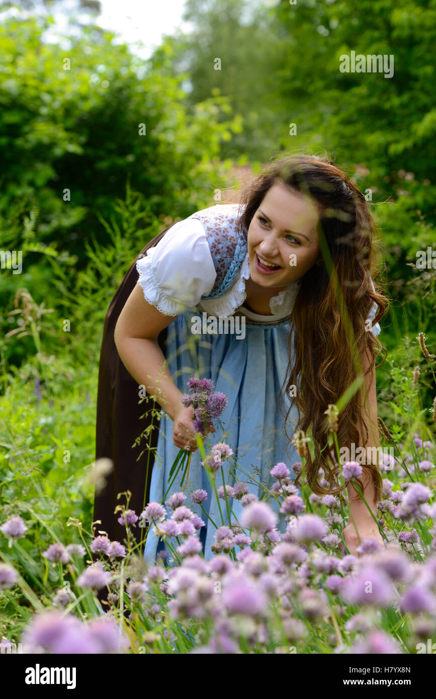 Young woman, dirndl, picking herbs, chives, Herbal Adventure Park, Bad Heilbrunn, Loisachtal, Upper Bavaria, Bavaria, Germany Stock Photo