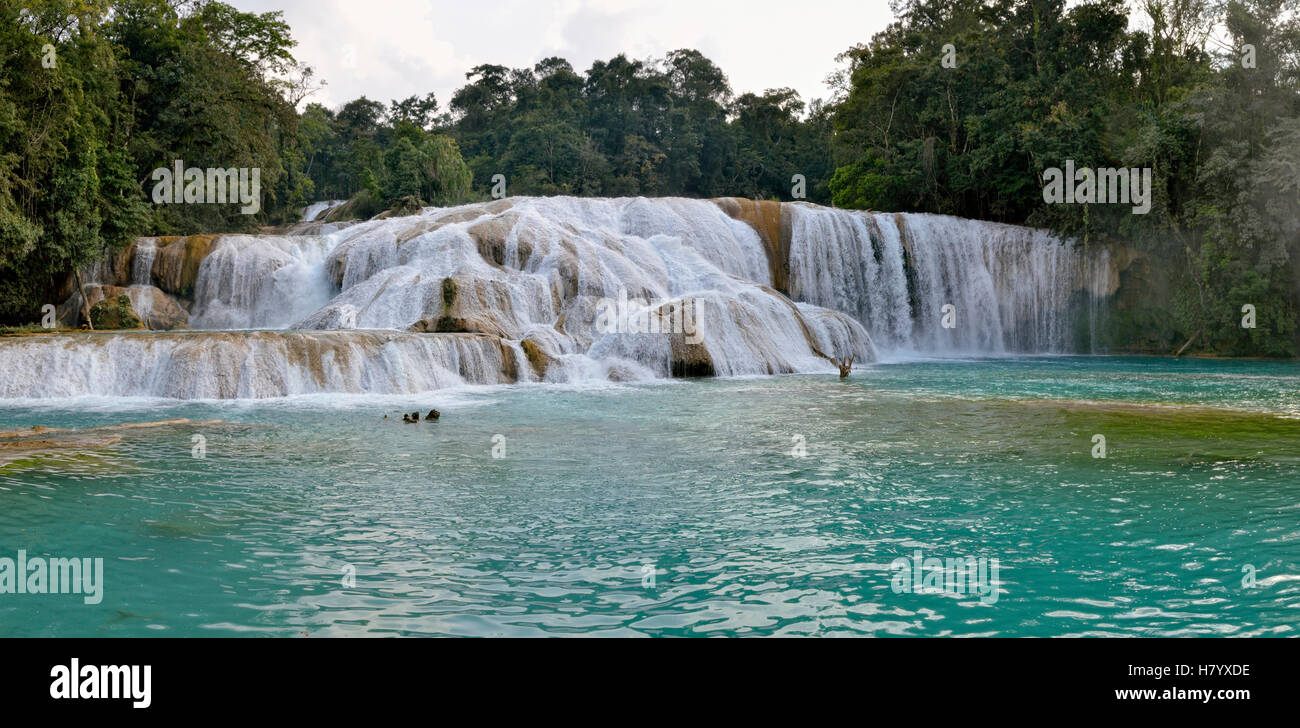 Cataratas de Agua Azul, blue water waterfalls, Rio Yax, Palenque, Chiapas, Mexico Stock Photo
