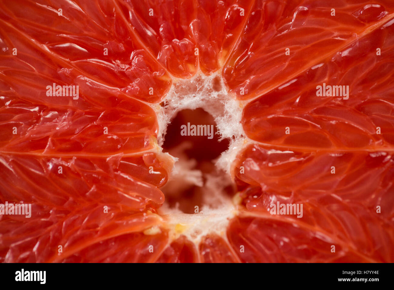Close-up of sliced blood orange Stock Photo