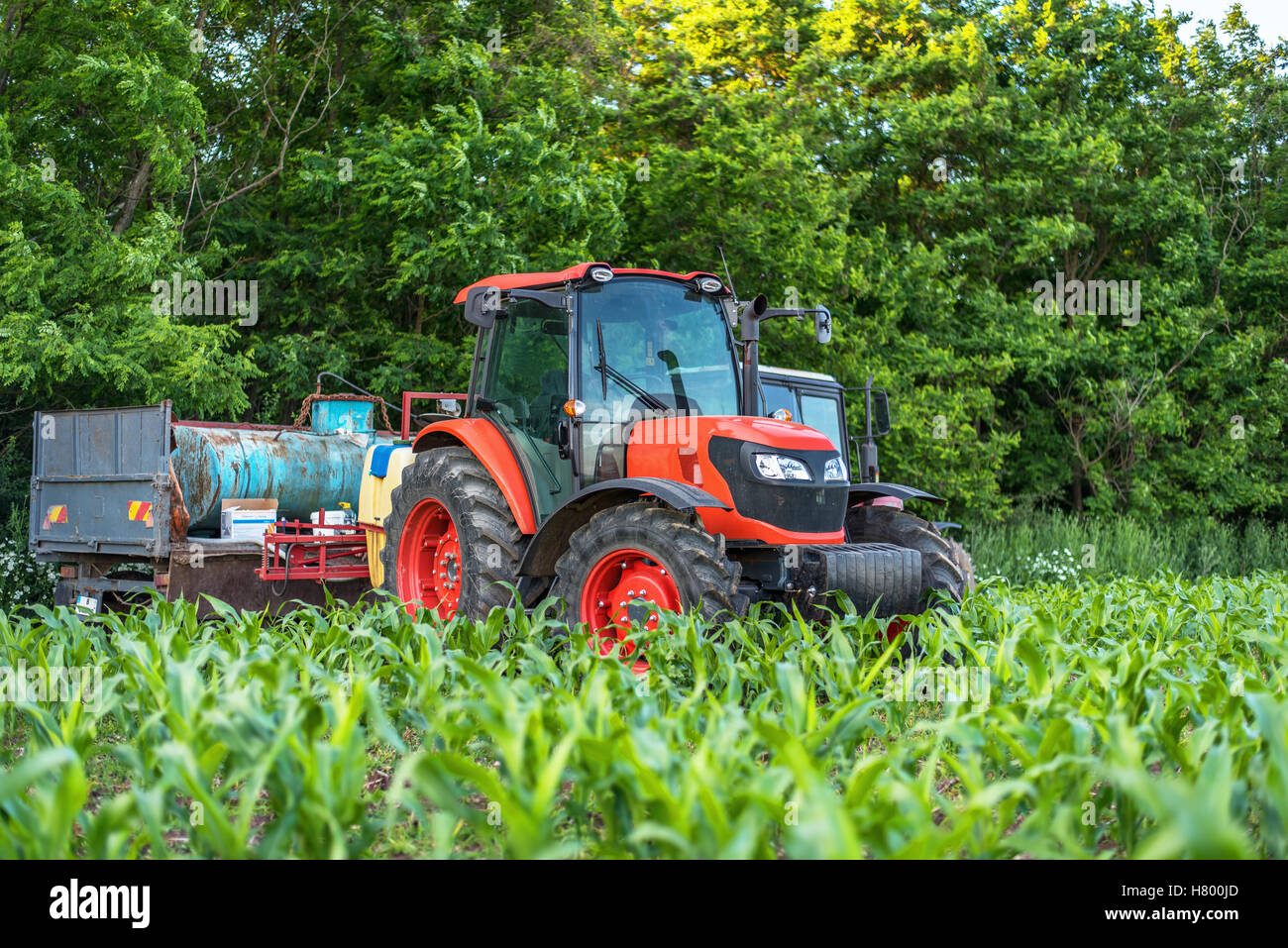 Red tractor on a green field Stock Photo