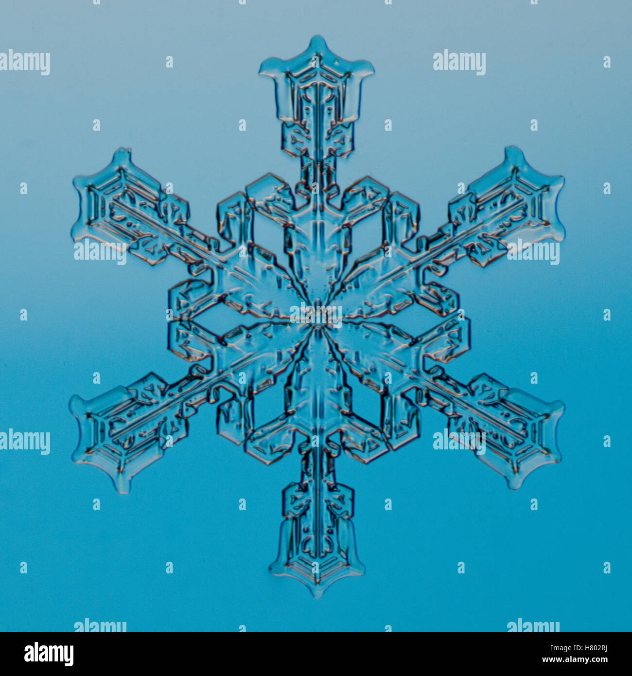 Snowflake seen through microscope Stock Photo - Alamy