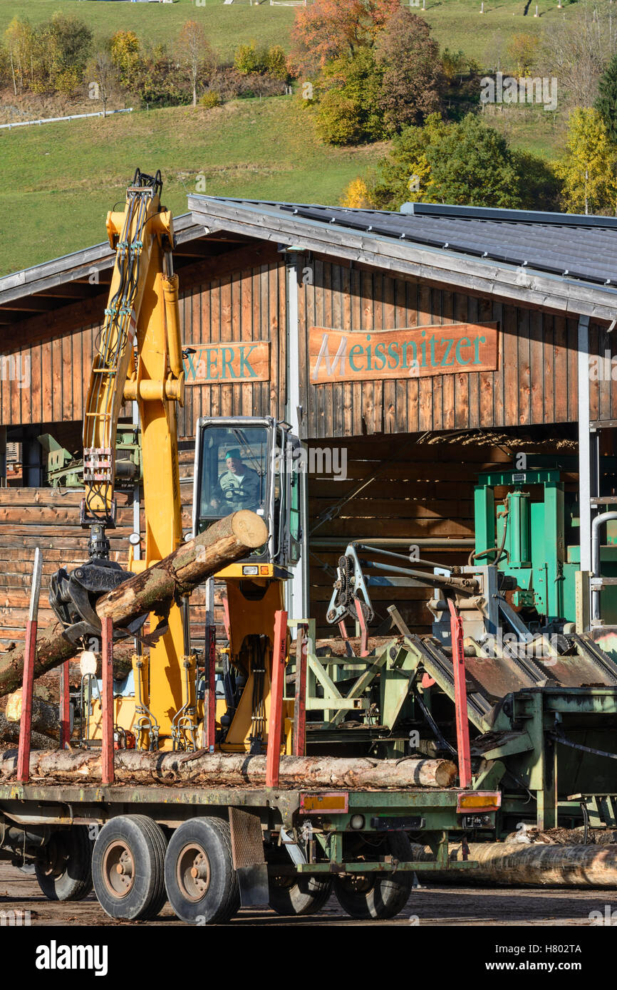 Niedernsill sawmill, lumbermill, timbermill, crane, timber, Pinzgau