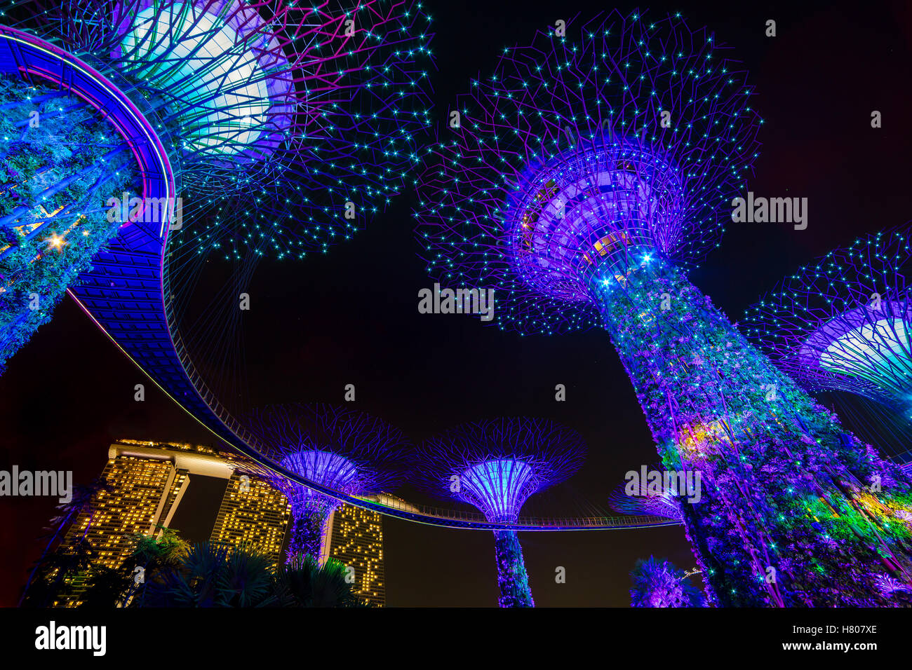 Singapore gardens by the bay night view hi-res stock photography and ...