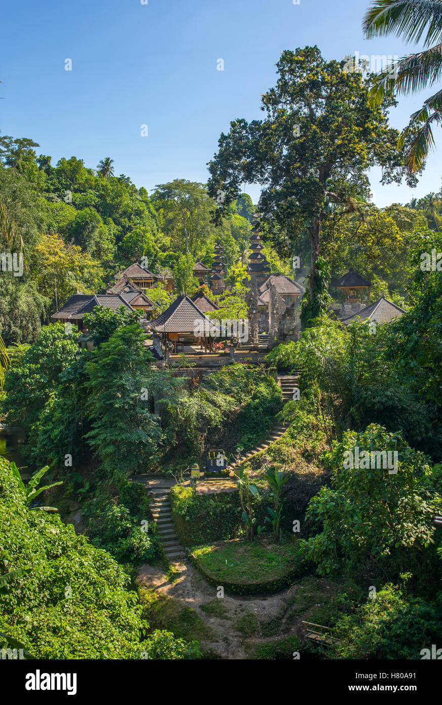 Ubud jungle bali hi-res stock photography and images - Alamy