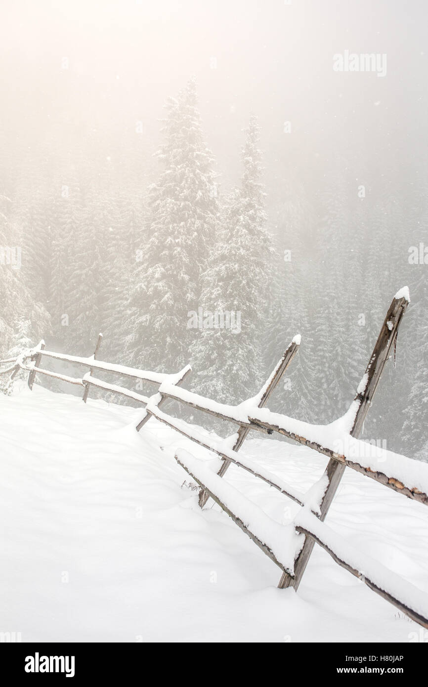 Beautiful winter landscape with snow covered trees and fence Stock ...