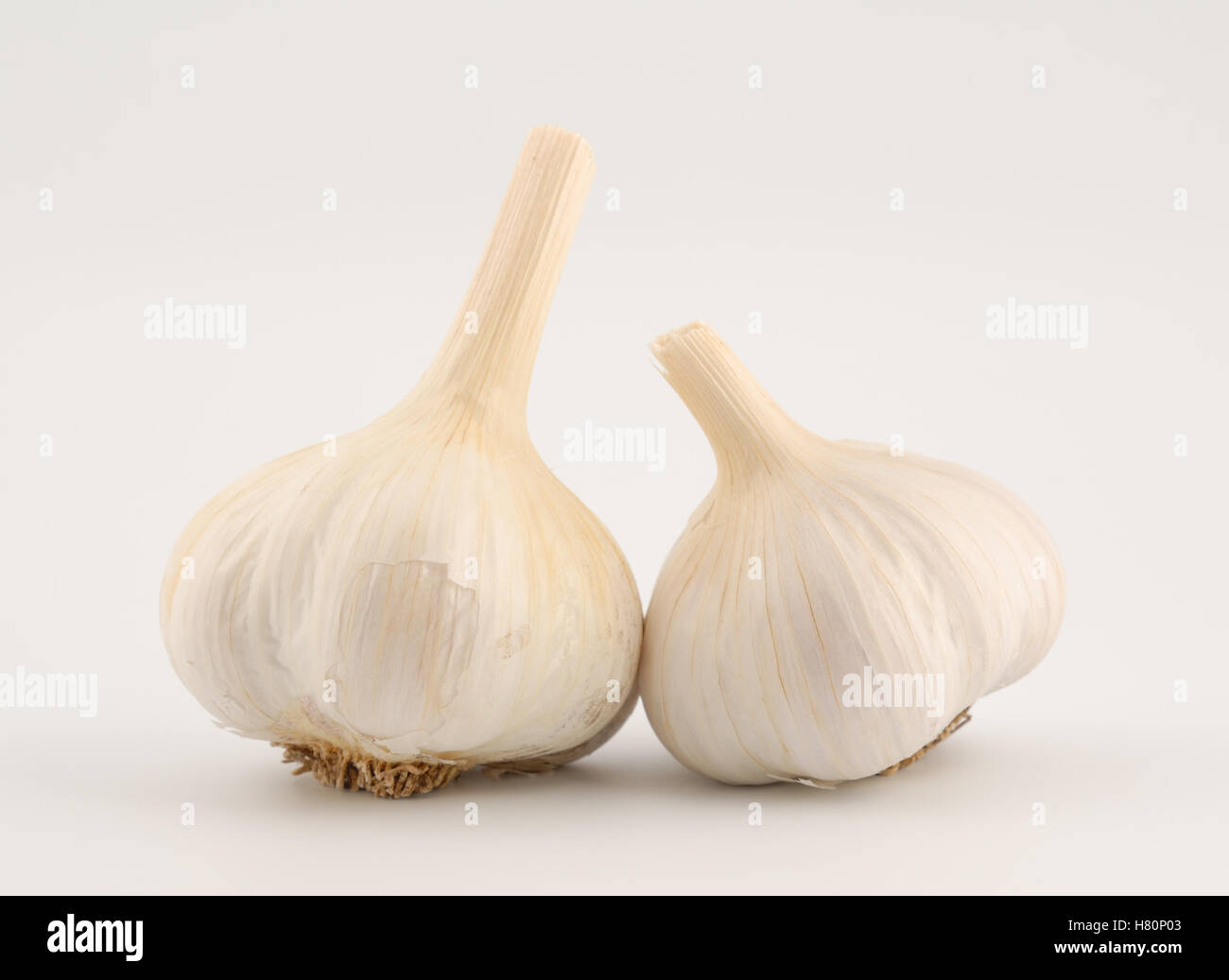 Head of garlic isolated on a white background Stock Photo Alamy