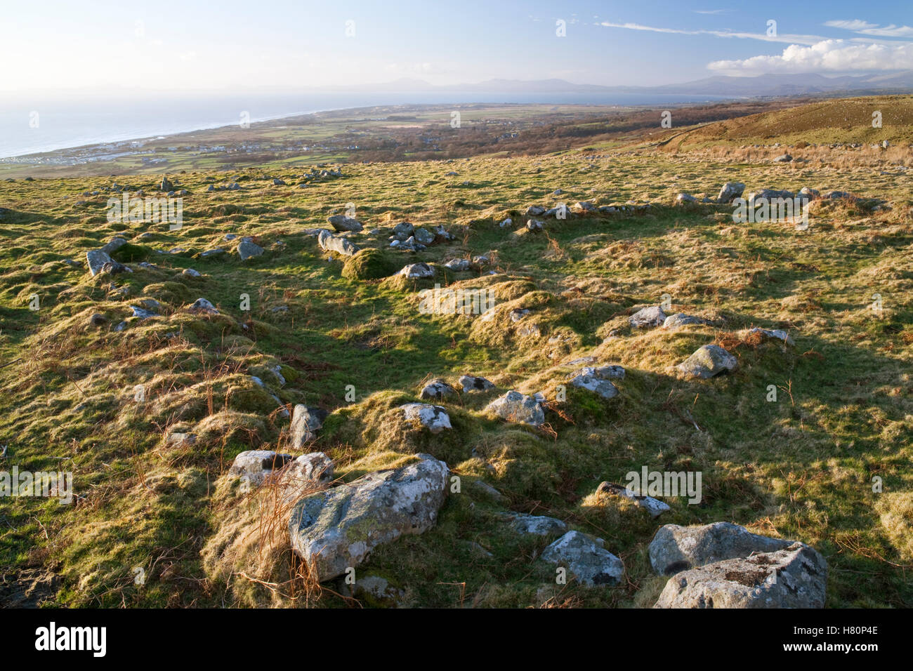 View NW over remains of a late Medieval long hut attached to a small enclosure on Mynydd Egryn above Egryn Abbey (Hall) Farm. Stock Photo