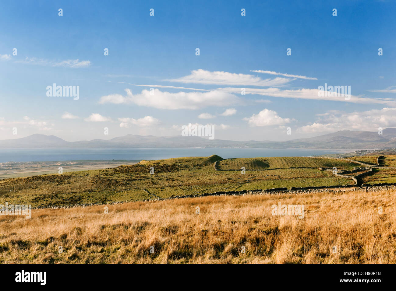 Pen y Dinas hillfort looking towards Tremadog Bay from footpath leading up Mynydd Egryn from Egryn Abbey: fort profile (centre). Stock Photo
