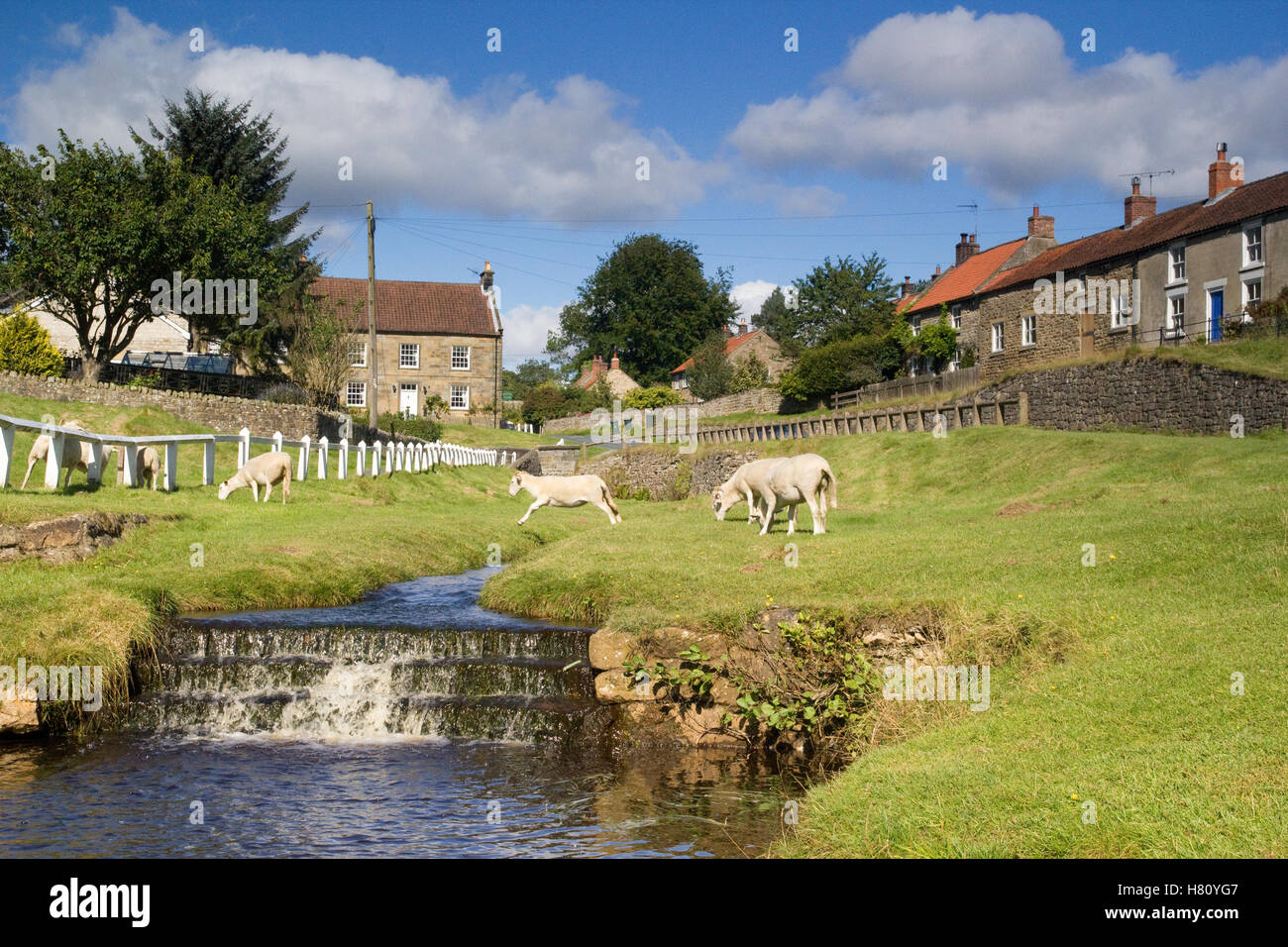 hutton-le-hole-yorkshire-sheep-hi-res-stock-photography-and-images-alamy