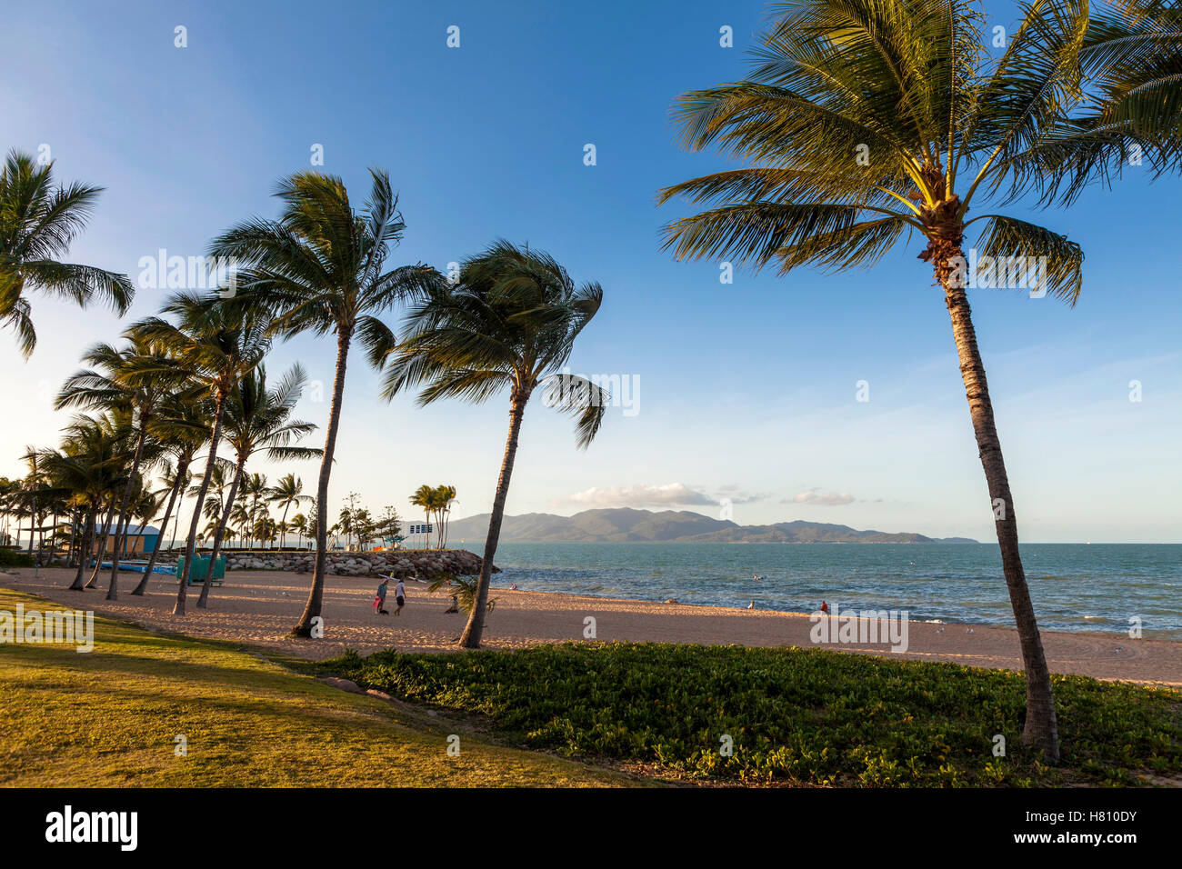 The Strand, Australia, Queensland, Townsville on the sea coast, with palm trees blowing in the wind. Stock Photo