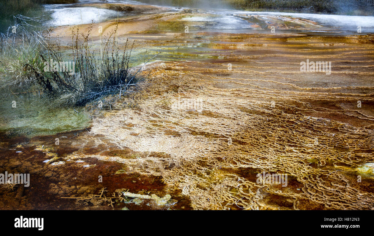 Mammoth Hot Springs in Yellowstone National Park Stock Photo - Alamy
