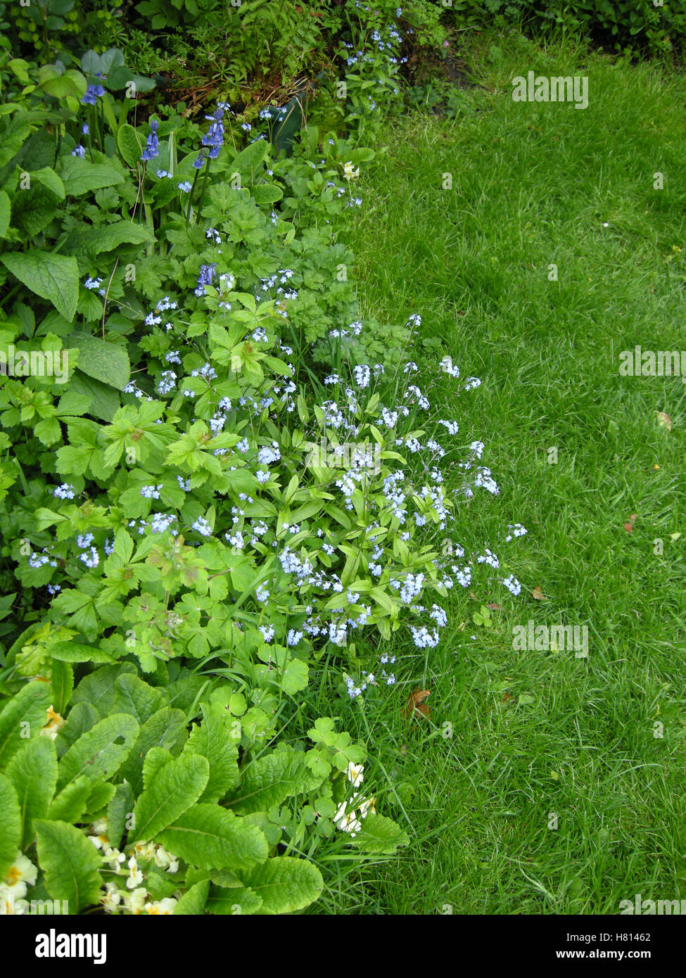 Assorted flowers hi-res stock photography and images - Alamy