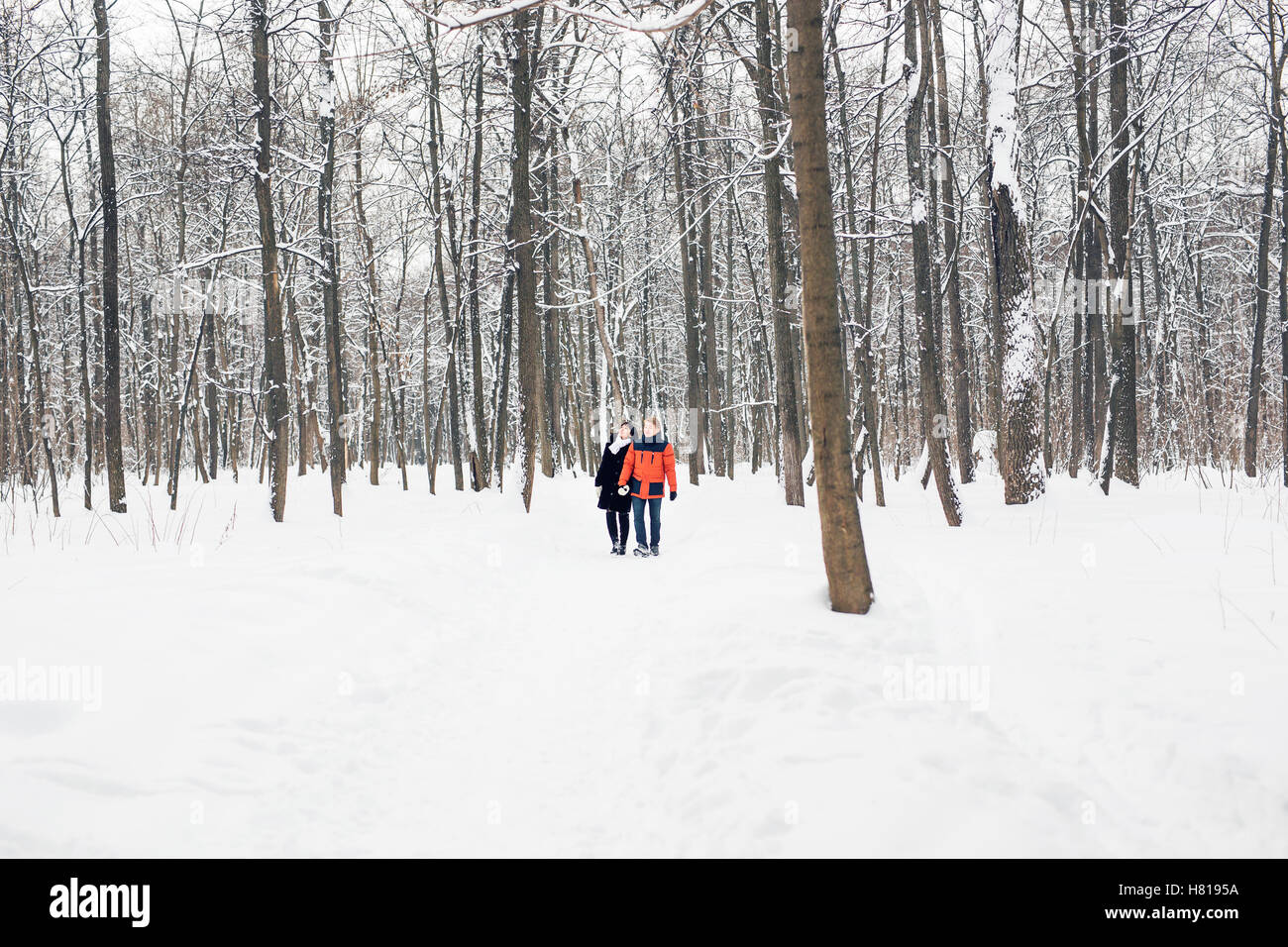 Young couple in love walking in the snowy forest Stock Photo - Alamy