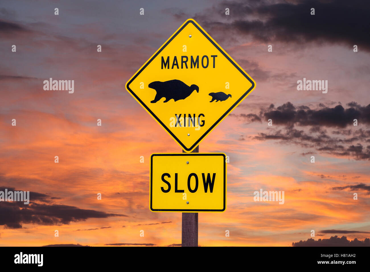 Wildlife caution sign hi-res stock photography and images - Alamy