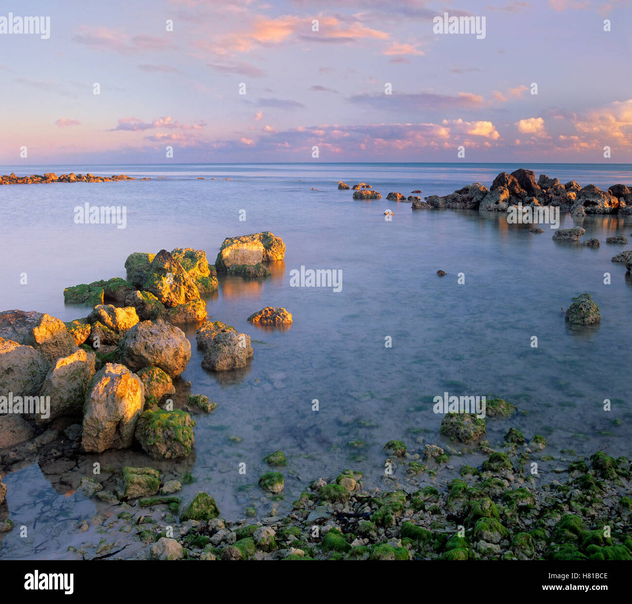 Coastal rocks, Bahia Honda Key, Florida Stock Photo Alamy