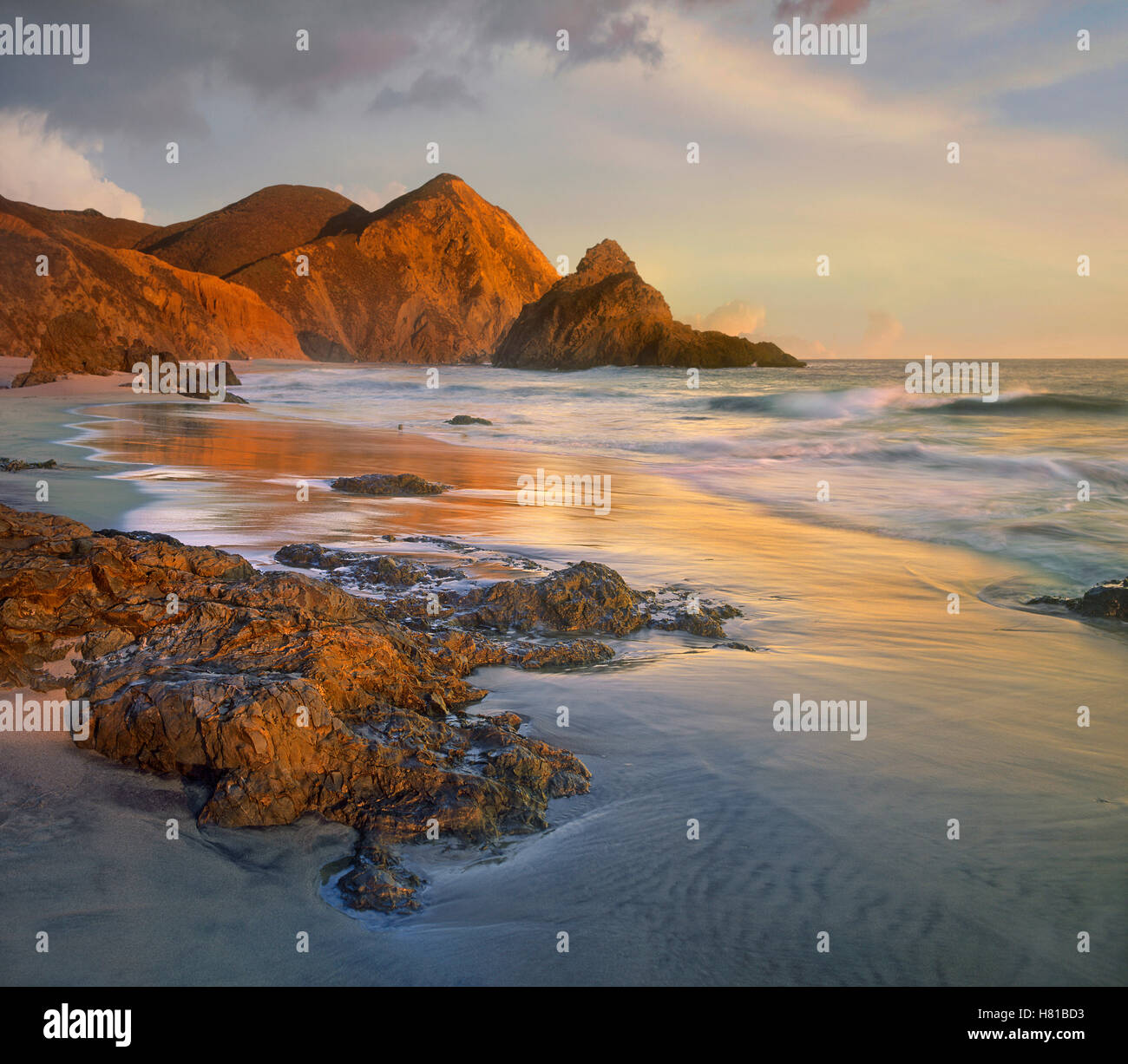 Bean Hollow Beach, Big Sur, California Stock Photo Alamy
