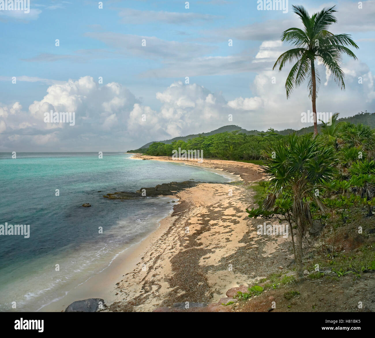 Tropical beach, Camp Bay, Roatan Island, Honduras Stock Photo Alamy