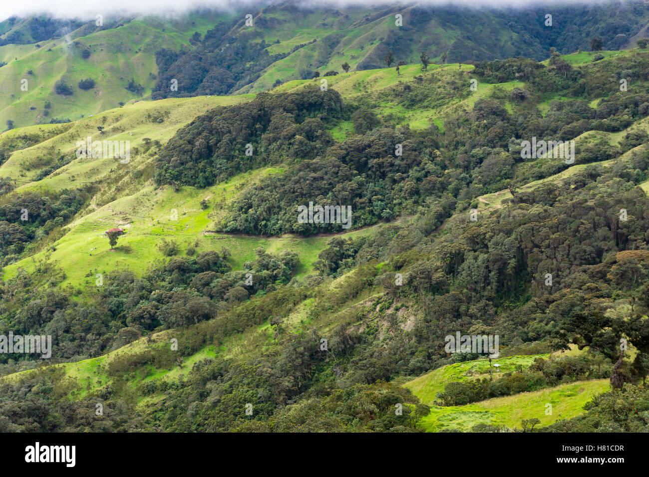 Rugged landscape in Quindio department near Salento, Colombia Stock Photo