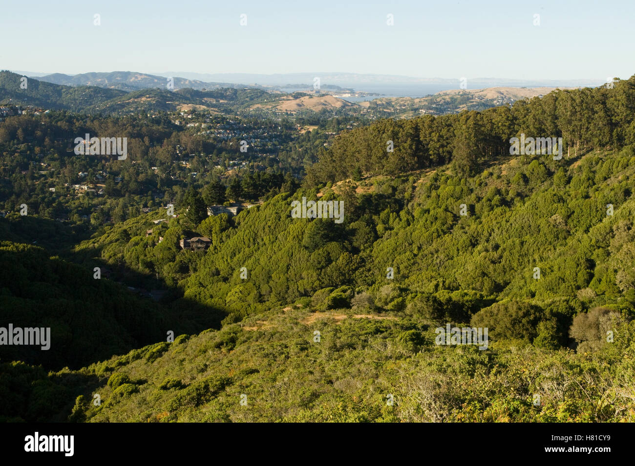 Houses encroaching into northern coastal scrubland and maritime chaparral, Tamalpais Valley Houses encroaching into northern coastal scrubland and maritime chaparral, Tamalpais Valley